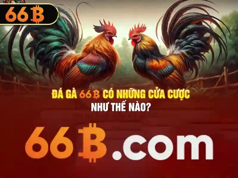 ứng dụng 66b