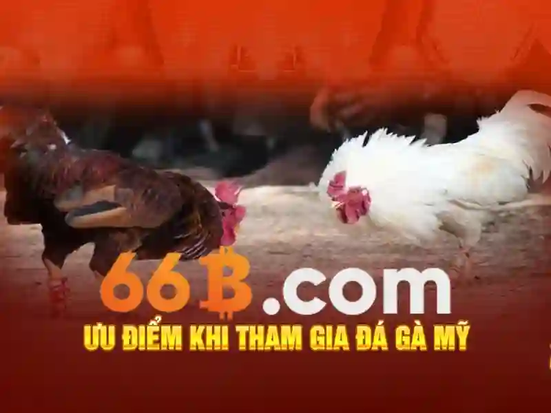 Ưu điểm 66B app