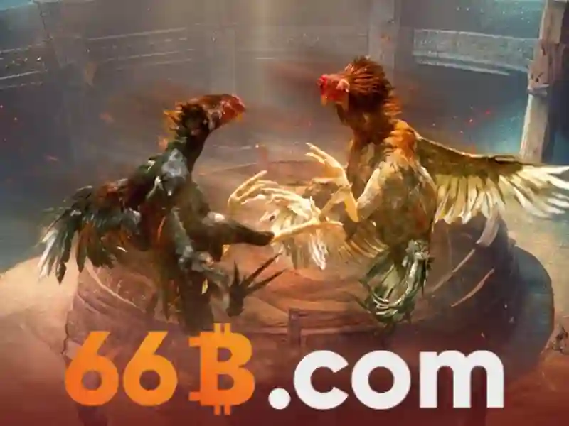 Code 66B