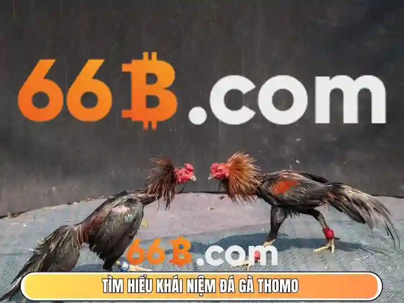 Hướng Dẫn Đăng Ký 66B