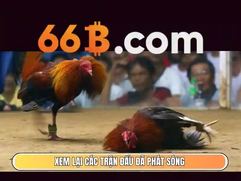 Lý Do Chọn Slot 66B