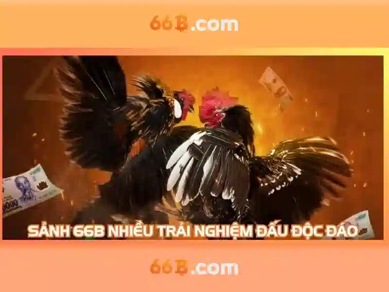 khuyến mãi 66B