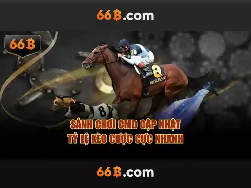 Lý Do Chọn Cờ Vua 66B