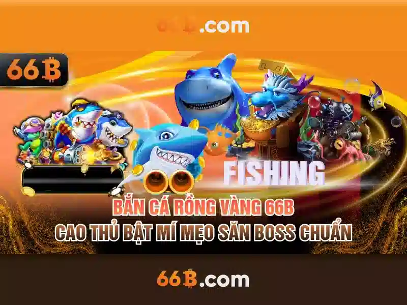 Hỗ trợ 24/7 66B