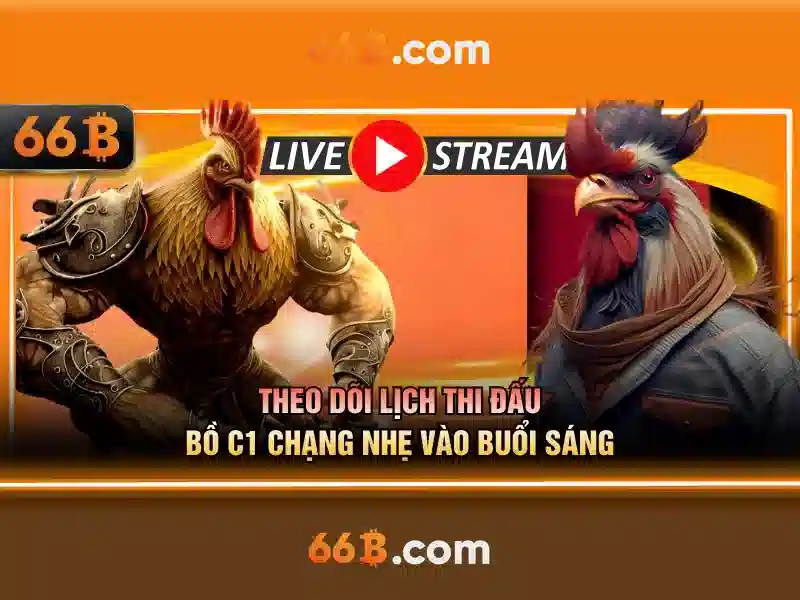 66b Hoàn Tiền 2026