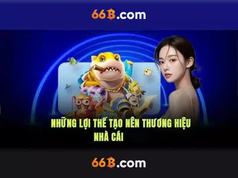 trải nghiệm 66B