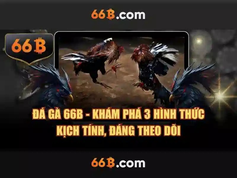 Chính sách rút tiền 66B