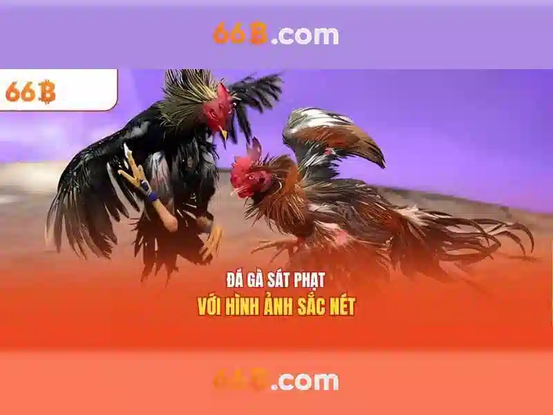 Game Slot 66B – Đa Dạng Và Thú Vị