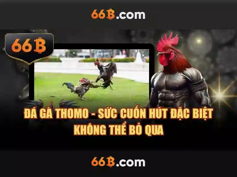 66B - Trang Liên Hệ Chính Thức 2026 | Dịch Vụ Hỗ Trợ Tận Tâm