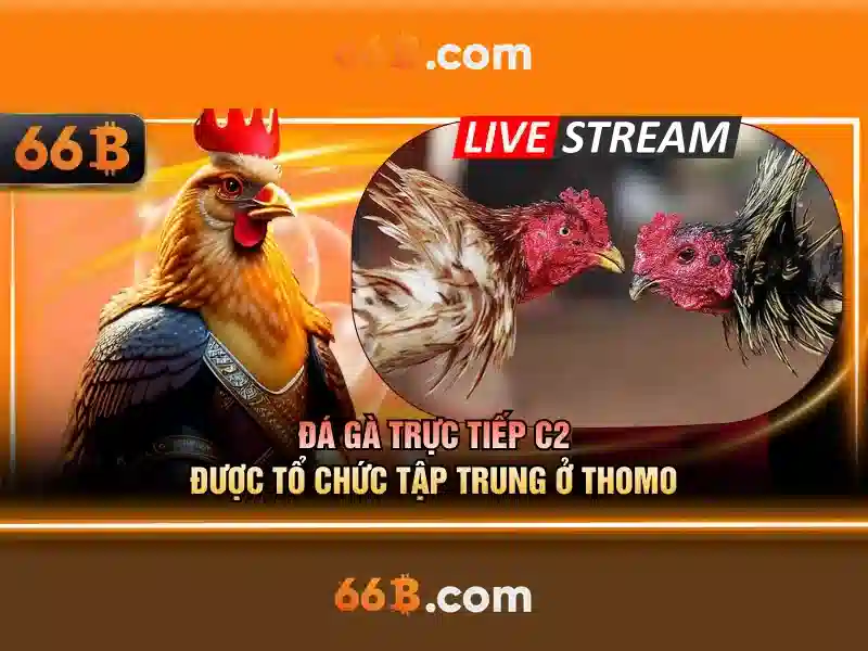 Tựa Game SLOT Mới Nhất 2026