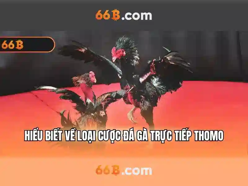 Đổi Mật Khẩu 66B – Hướng Dẫn Chi Tiết Cách Thay Mật Khẩu Slot 66B 2026