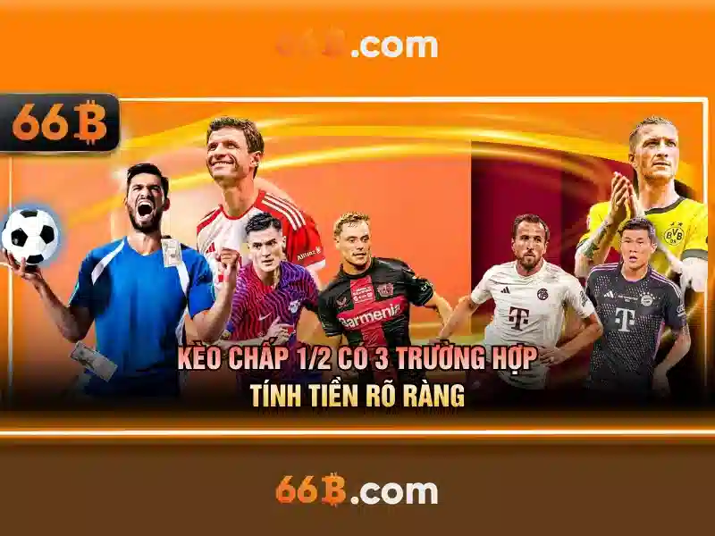 Đặc Điểm Nổi Bật Của 66B