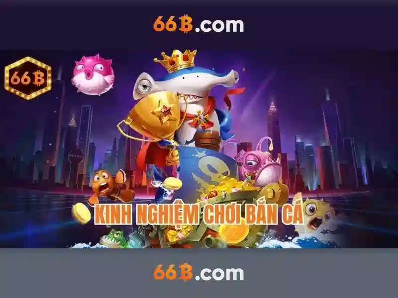 Tài Khoản 66B