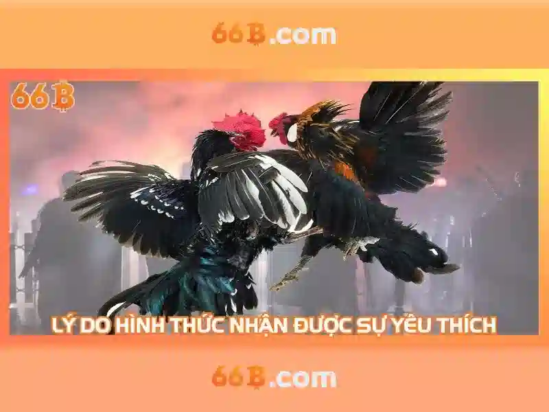 Hướng Dẫn Đăng Ký 66B