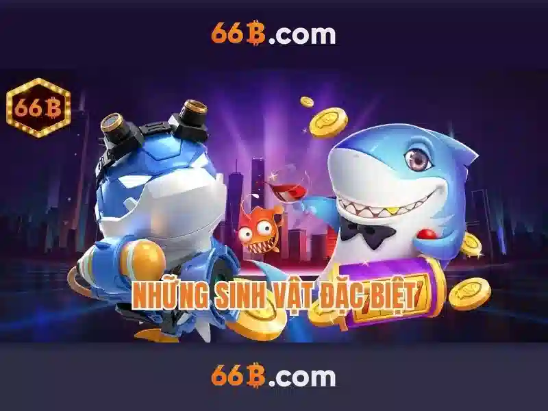 Chính sách khuyến mãi 66B