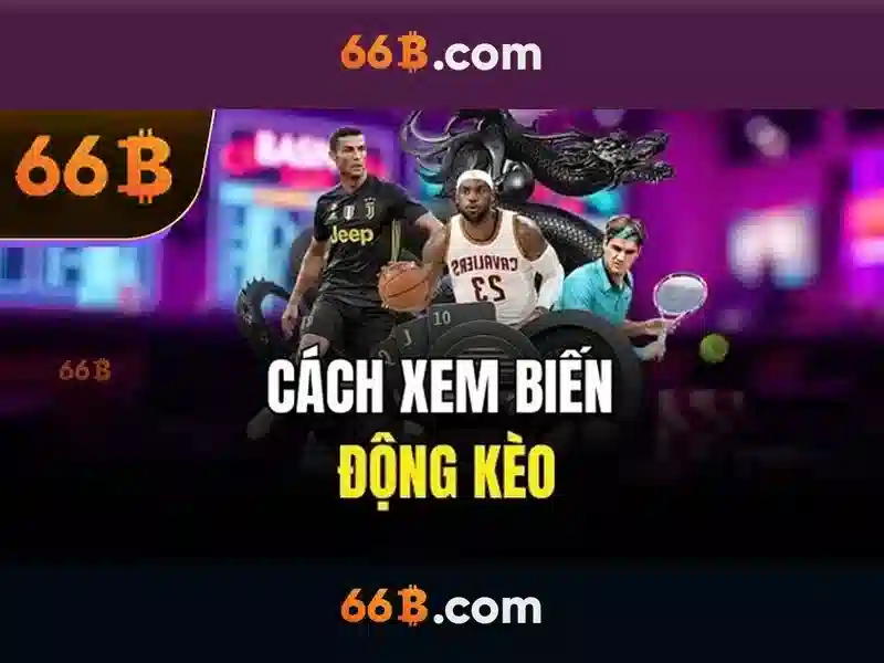 Hỗ trợ SLOT 66B