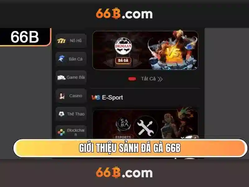 Giới Thiệu Về Cờ Caro 66B