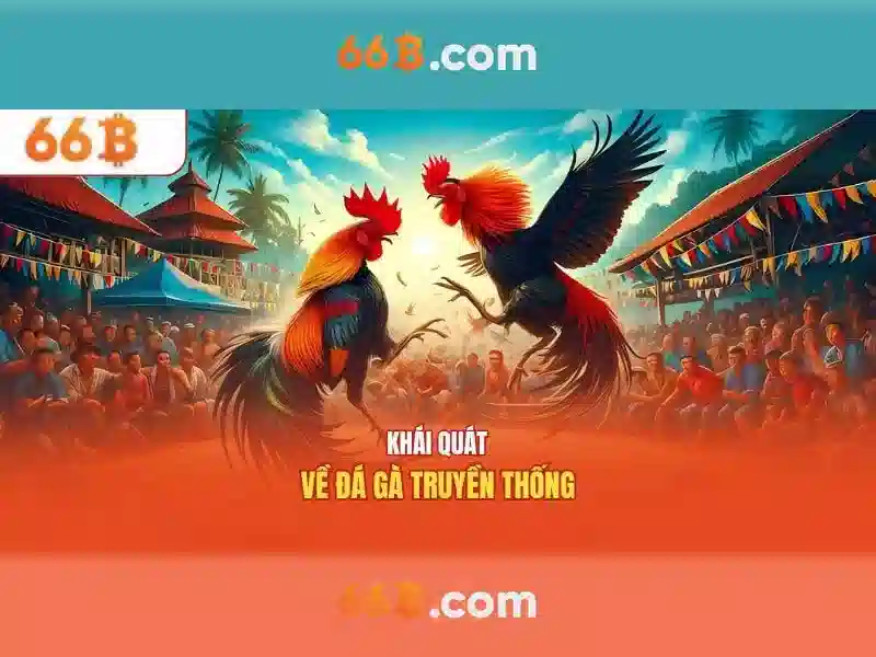 66B khuyến mãi