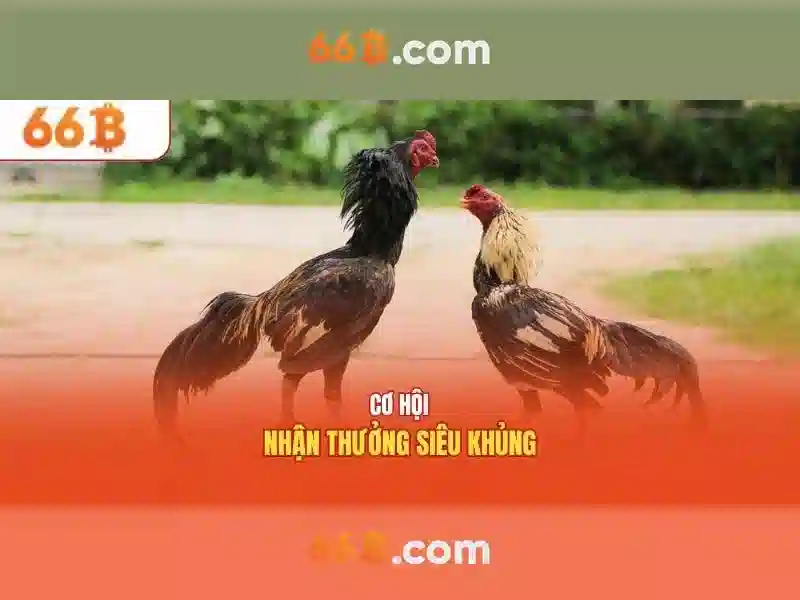 66B – Link Tải 66B APK Mới Nhất 2026 | Hướng Dẫn Chơi Slot Thắng Lớn