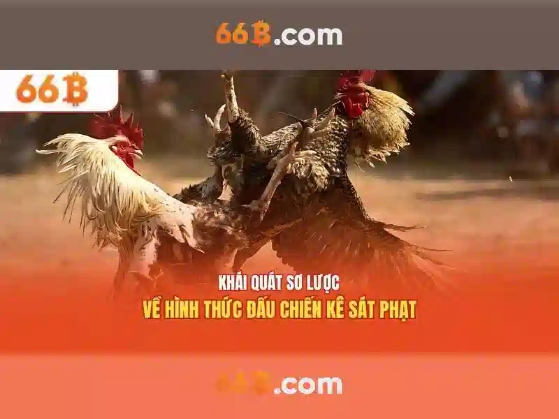 Chương Trình Ưu Đãi Đặc Biệt Cho Thành Viên