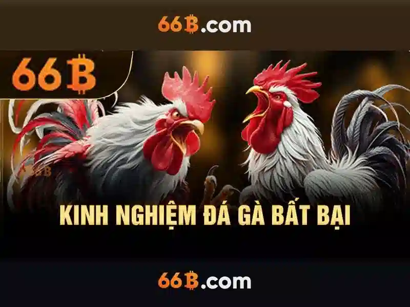 Khuyến Mãi Casino 66B