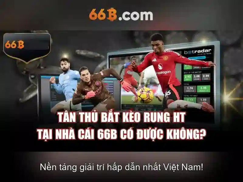 cờ vua 66B