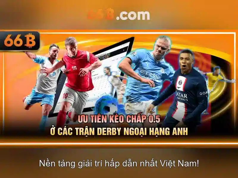 Đặc điểm tải 66B