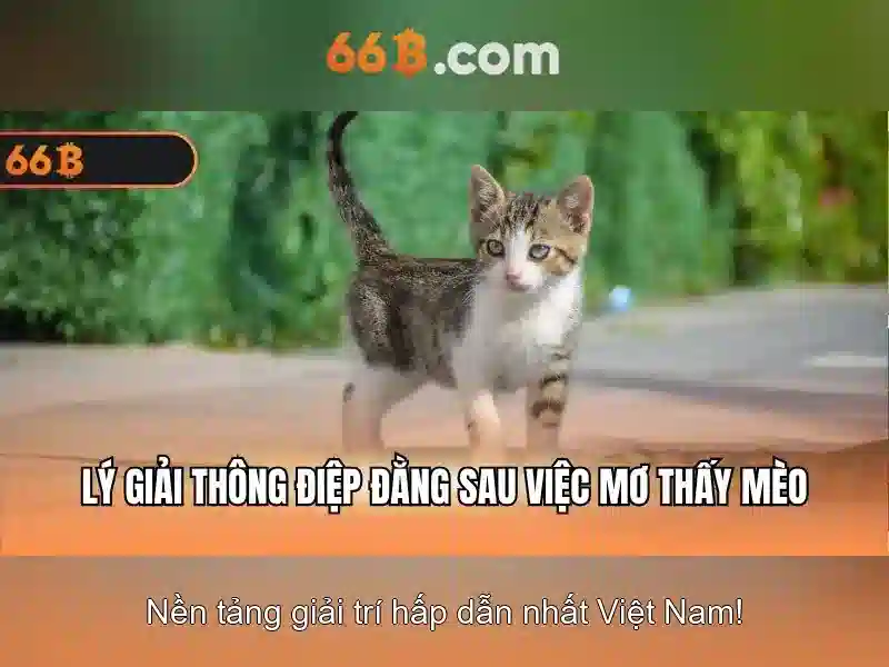 Hướng dẫn tải 66B
