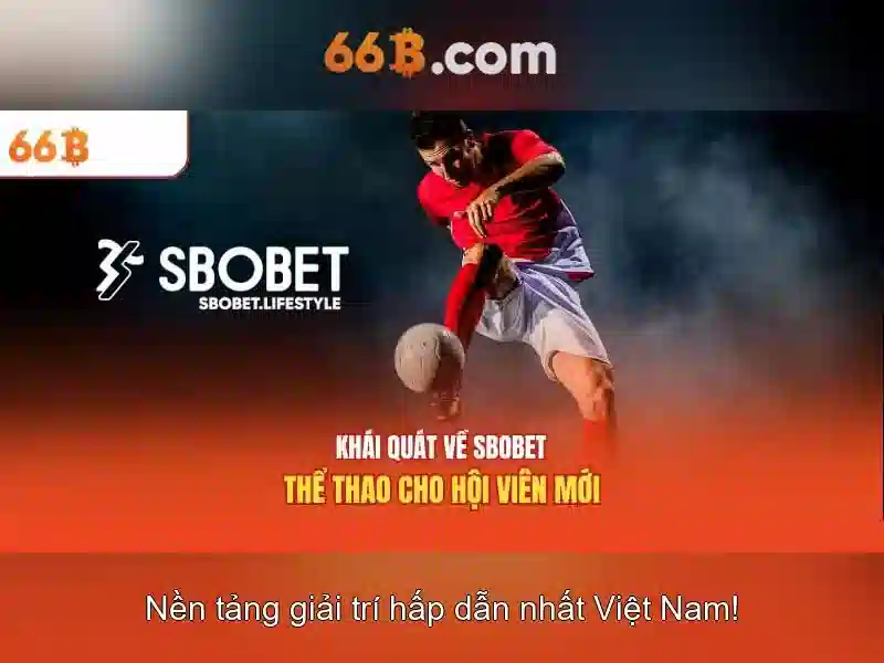 Đặc Điểm Nổi Bật Của Mậu Binh 66B