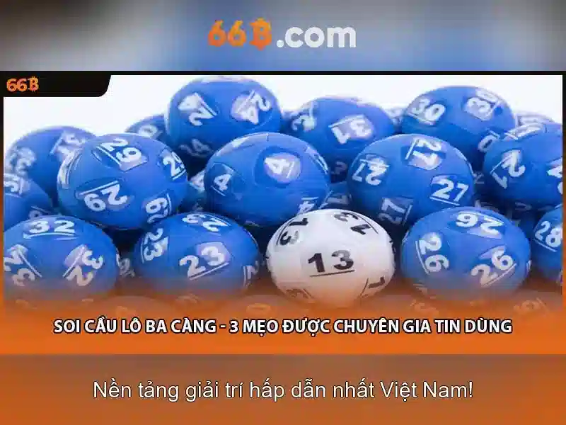 Miễn Trừ Trách Nhiệm 66B – Chính Sách Bảo Vệ Quyền Lợi Người Chơi