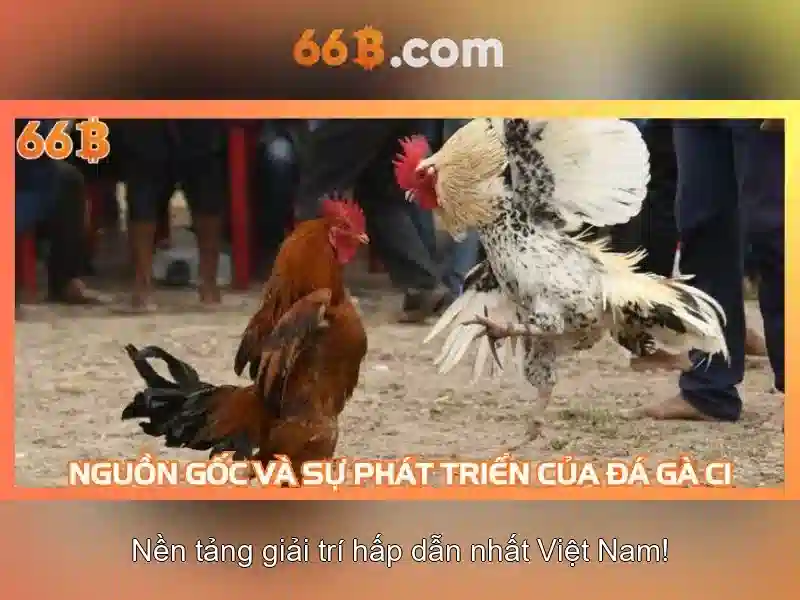 Chương trình 66b giftcode
