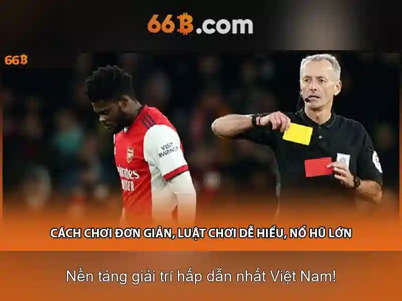 cờ caro 66B