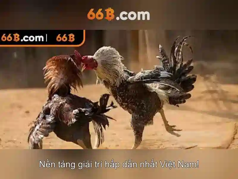Tải 66B