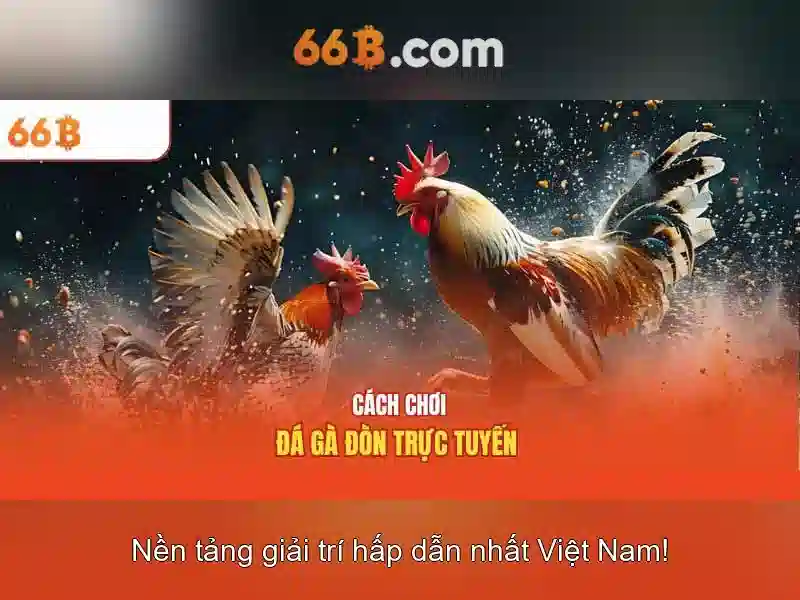 Ưu Đãi Đặc Biệt Cho Thành Viên 66B