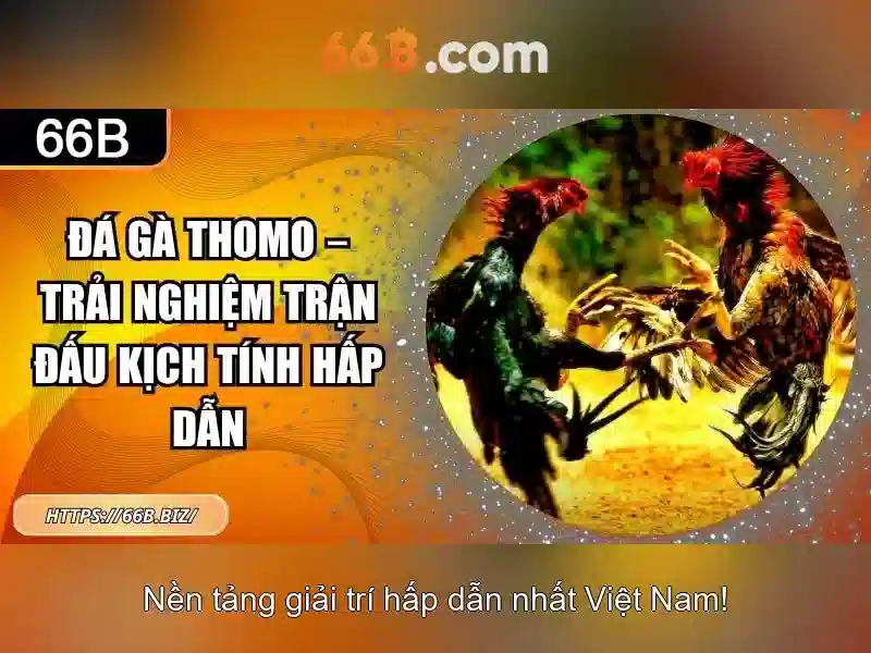 Đăng Nhập 66B Nhanh Chóng Với Link Dự Phòng 66B
