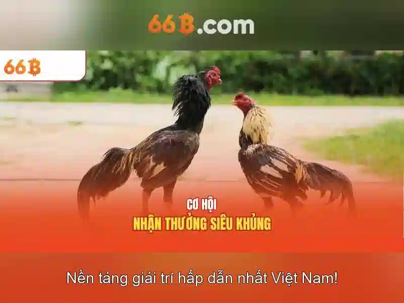 Hỗ Trợ Slot