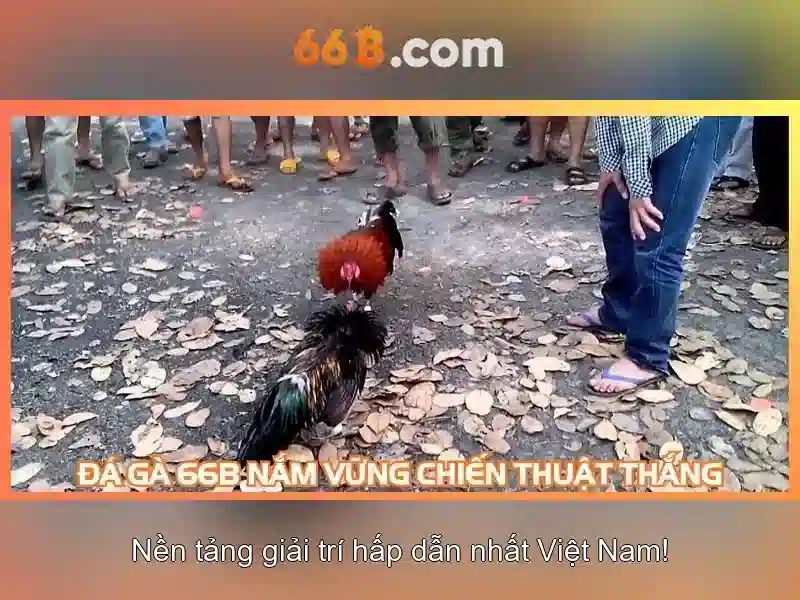Hệ Thống Bảo Mật 66B