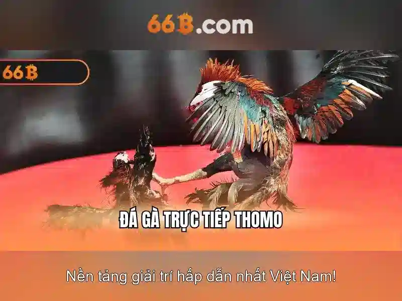 Chi Tiết Chương Trình 66b Hoàn Tiền