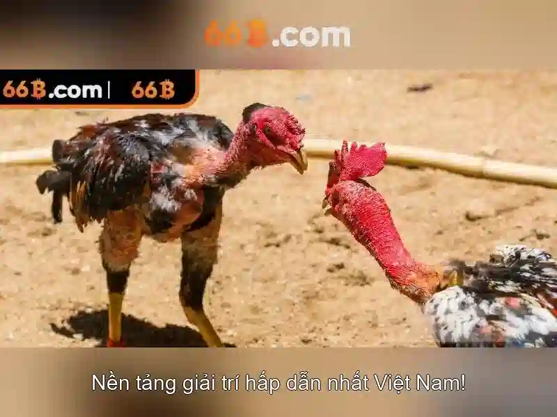 Hướng Dẫn Đăng Ký Và Nạp Rút 66B