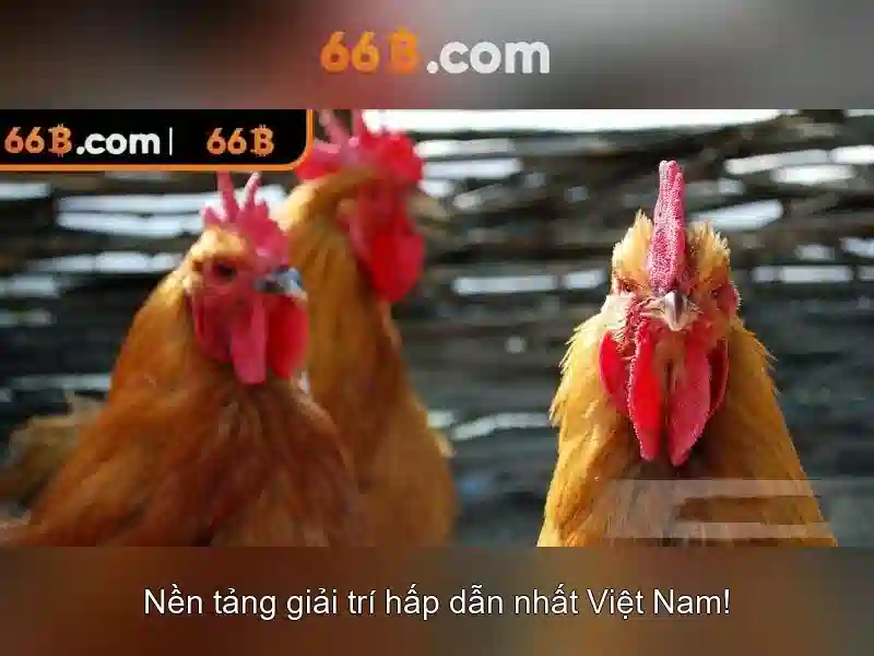 Lời Khuyên Miễn Trừ Trách Nhiệm 66B