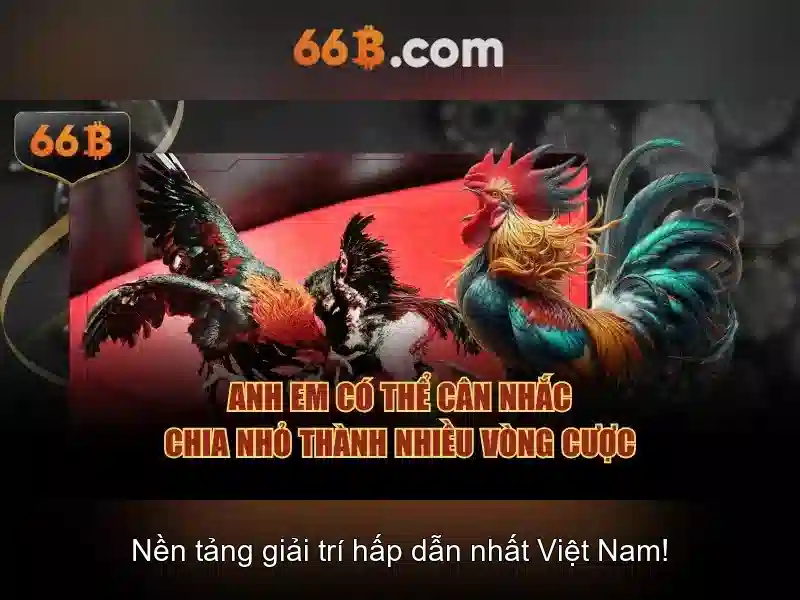 66B – Đăng Xuất 66B, Hỗ Trợ 24/7, Trang Chủ 66B Chính Thức 2026