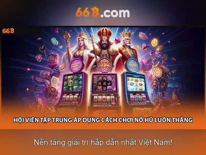 Quy Trình Đăng Ký 66B