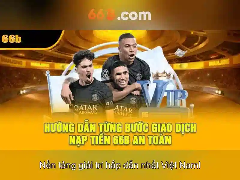 Điều Khoản Chính Sách 66B