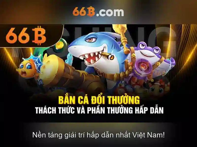 Ưu điểm 66B
