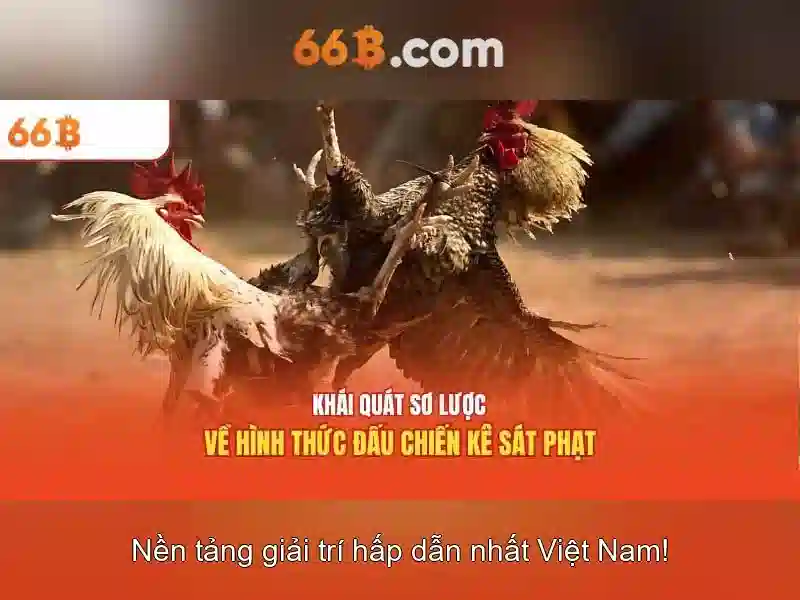 Khuyến mãi slot 66b