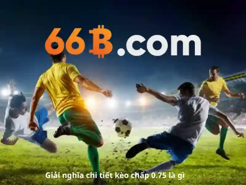 Đánh Giá Người Dùng 66B