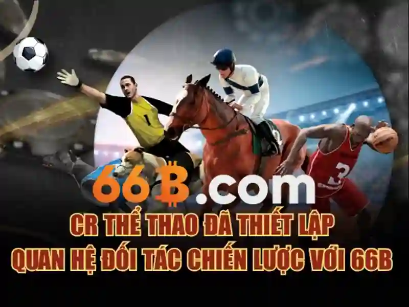 Hướng Dẫn Đăng Ký 66B