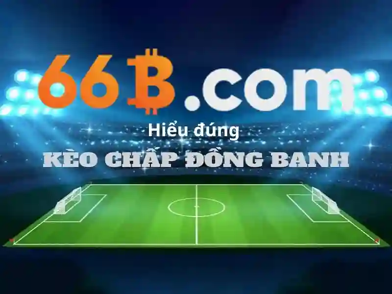 66B Chính Thức